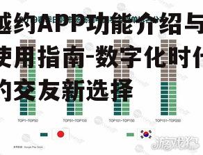 三、越约APP的市场地位