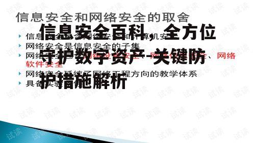 信息安全百科，全方位守护数字资产-关键防护措施解析