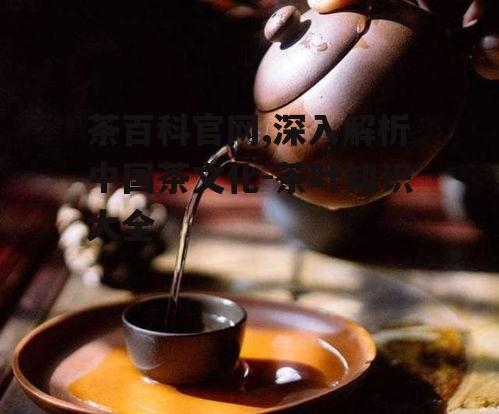 四、茶叶的功效与日常饮茶习惯