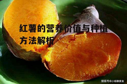 三、红薯的食用技巧