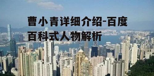 二、曹小青的商业成就