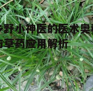 二、草药的采集与使用