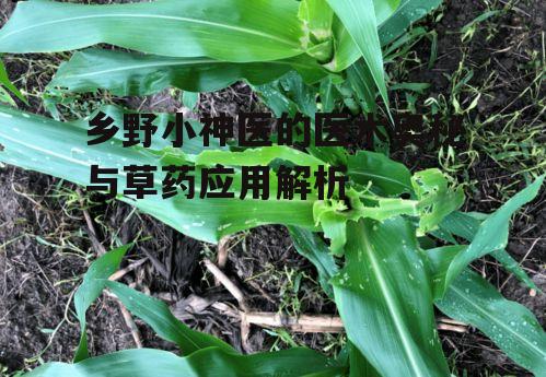 四、草药治疗的现代研究