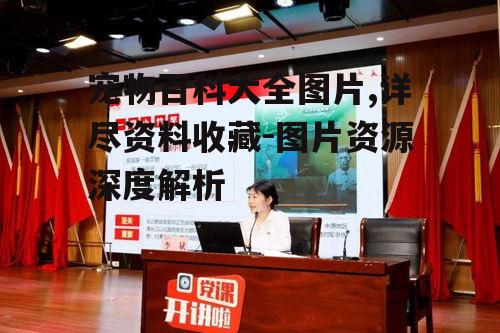 二、宠物图片分类与特点