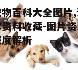 三、如何选择高质量的宠物百科图片