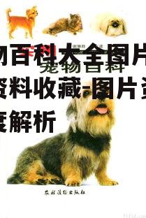 四、宠物百科图片的版权问题