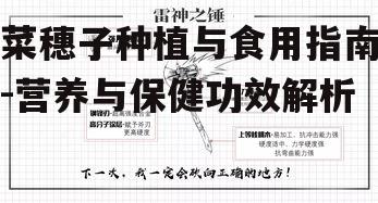 二、菜穗子的营养成分