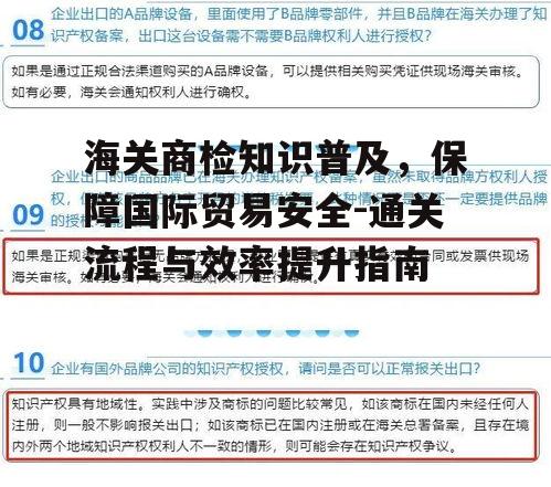 海关商检知识普及，保障国际贸易安全-通关流程与效率提升指南
