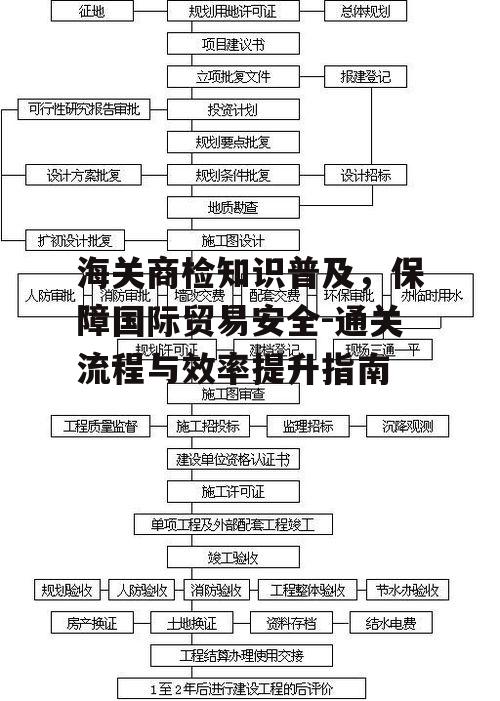二、海关商检的流程解析