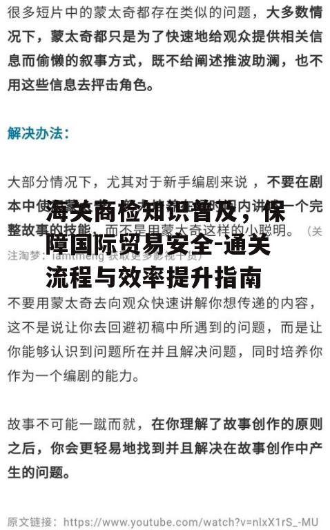 三、海关商检中的常见问题及解决方法