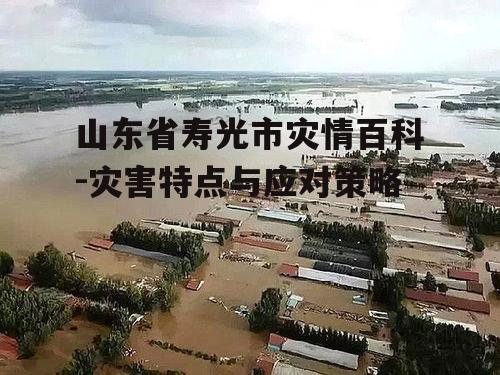 山东省寿光市灾情百科-灾害特点与应对策略