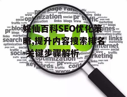 姚仙百科SEO优化策略,提升内容搜索排名-关键步骤解析