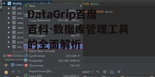 DataGrip百度百科-数据库管理工具的全面解析