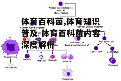体育百科菌,体育知识普及-体育百科菌内容深度解析
