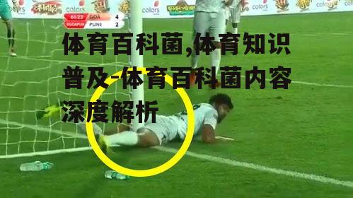 二、体育百科菌的核心内容