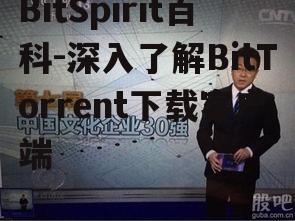 BitSpirit百科-深入了解BitTorrent下载客户端