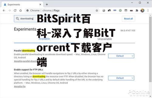三、如何使用BitSpirit下载文件