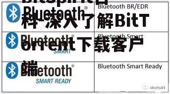 四、BitSpirit的安全性