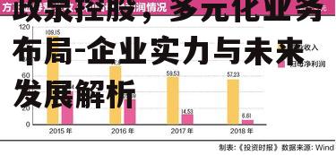 三、政泉控股的市场战略