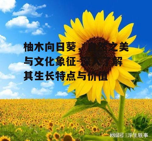 柚木向日葵，自然之美与文化象征-深入了解其生长特点与价值