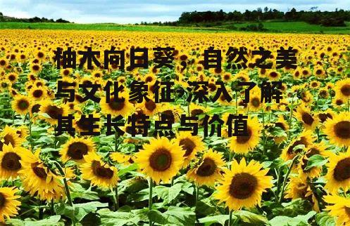 四、柚木向日葵的观赏与应用