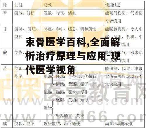 束骨医学百科,全面解析治疗原理与应用-现代医学视角