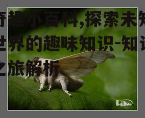 三、动植物的秘密