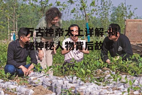 四、太上的角色发展