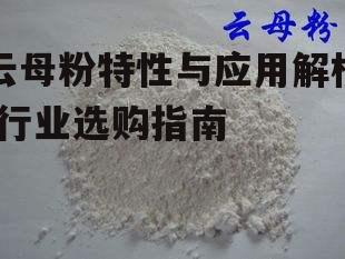 云母粉特性与应用解析-行业选购指南