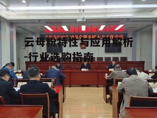 三、云母粉的选购要点