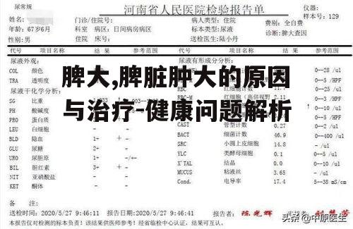 二、脾大的原因分析