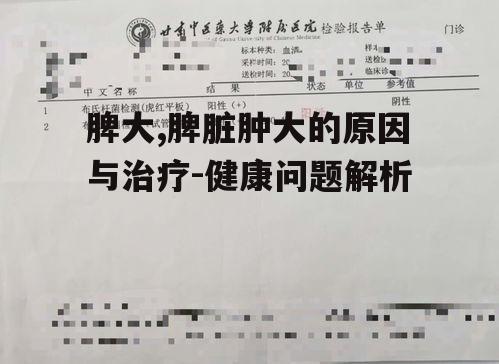 三、脾大的诊断方法