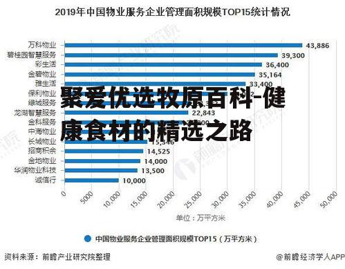 四、市场认可与消费者评价