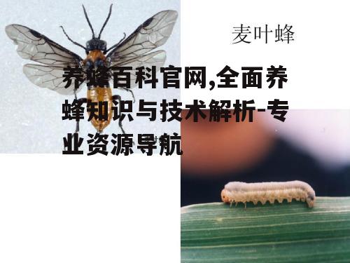 二、蜜蜂疾病与防治