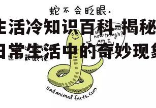 生活冷知识百科-揭秘日常生活中的奇妙现象