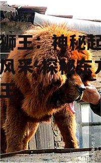 三、藏獒狮王的行为习性