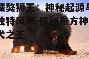 四、藏獒狮王在人类文化中的地位