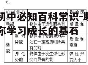 三、社会科学篇：理解社会运行规律