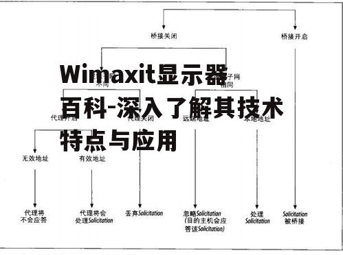 Wimaxit显示器百科-深入了解其技术特点与应用