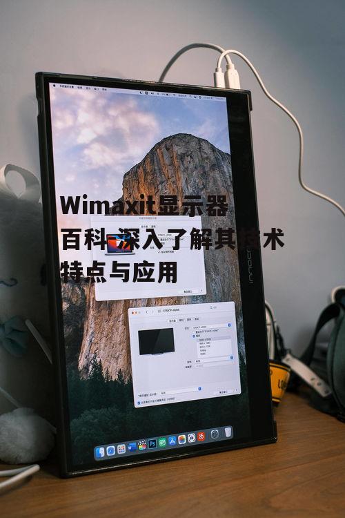 三、Wimaxit显示器的应用场景