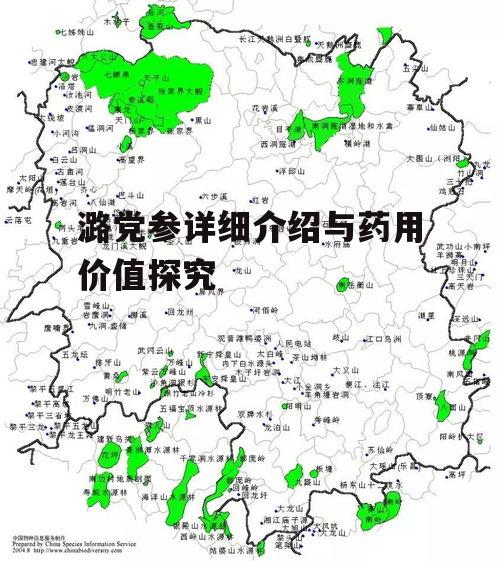 潞党参详细介绍与药用价值探究