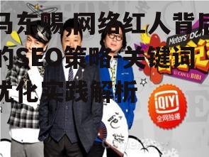 马东赐,网络红人背后的SEO策略-关键词优化实践解析