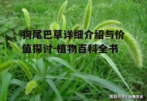 狗尾巴草详细介绍与价值探讨-植物百科全书