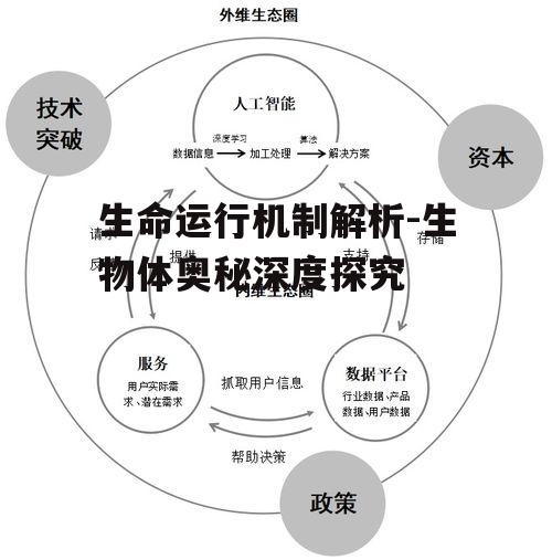 四、生物体与环境的互动:生态系统的平衡