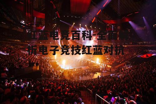 四、红蓝电竞的玩家群体