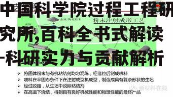 二、研究领域与方向