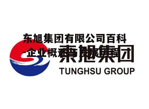 东旭集团有限公司百科-企业概述与发展历程