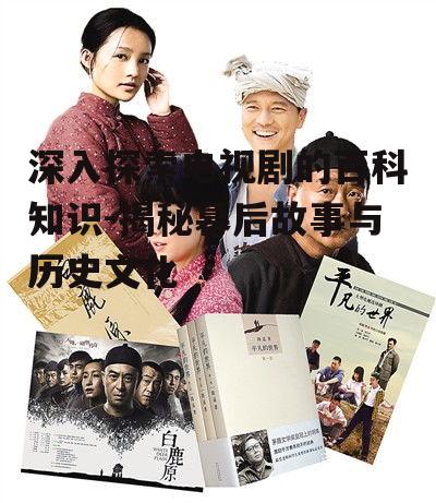 二、经典电视剧作品分析