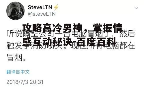 攻略高冷男神，掌握情感互动秘诀-百度百科