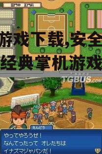 nds游戏下载,安全获取经典掌机游戏全攻略